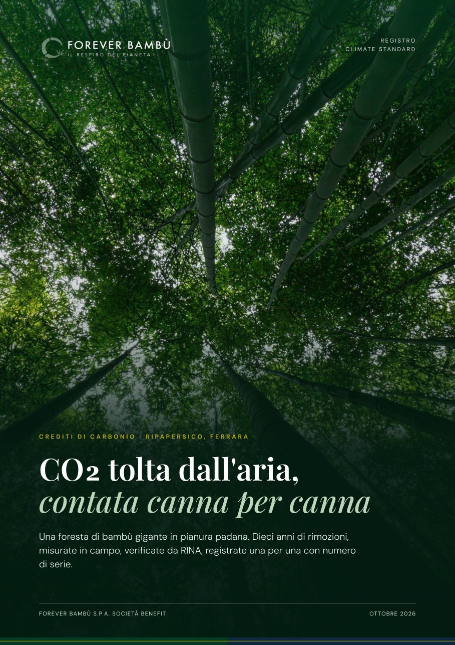 Copertina del dossier Crediti di carbonio Ripapersico